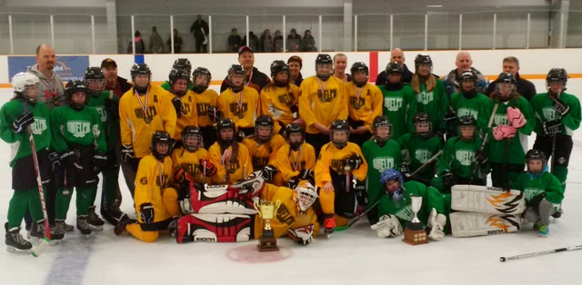 2015-16_LL_Peewee_yellow_champs_and_green_silver.jpg